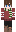 ciastek666_ Minecraft Skin