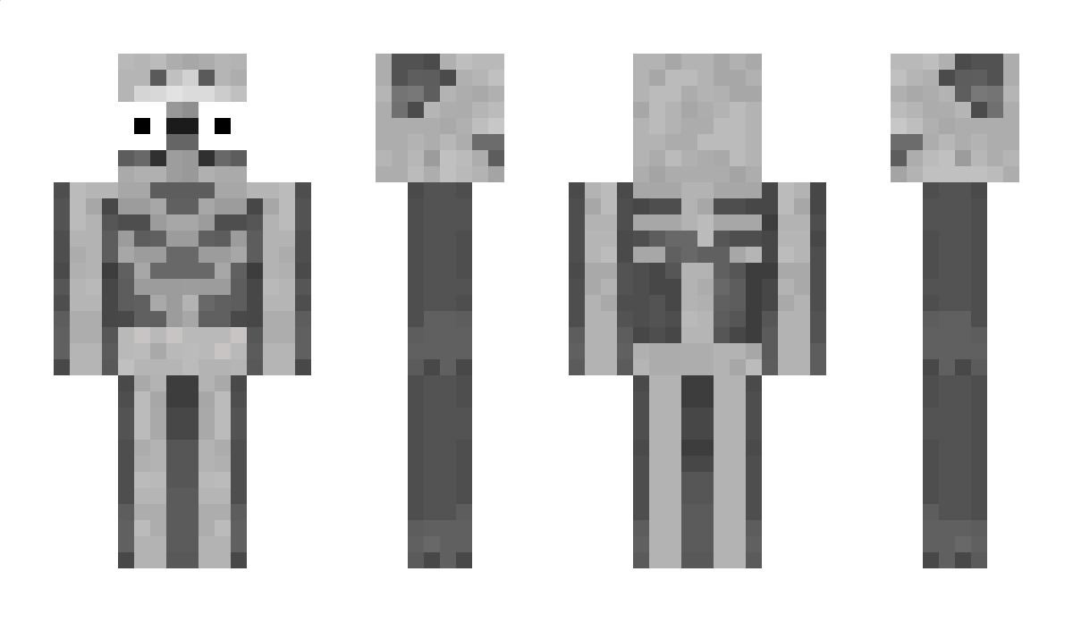 1onk Minecraft Skin