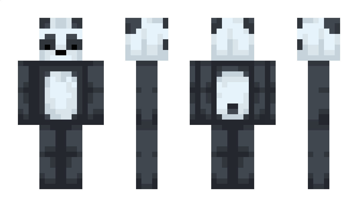 RXpandas Minecraft Skin