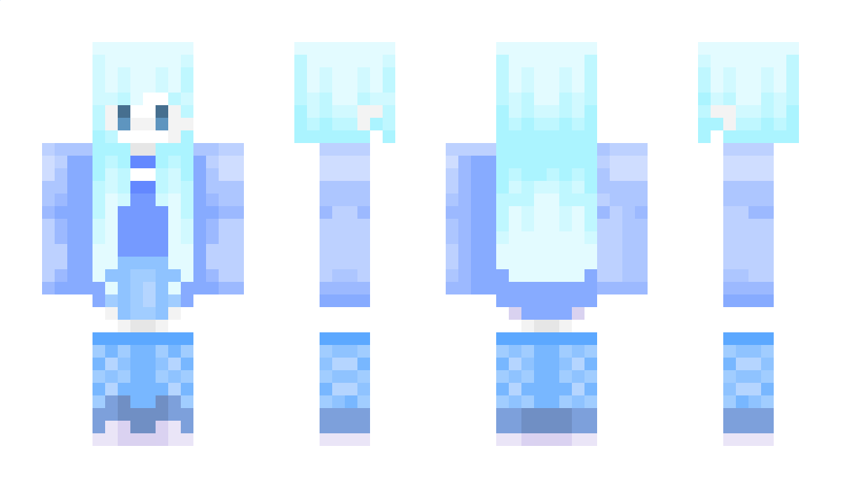 DCDCDC Minecraft Skin