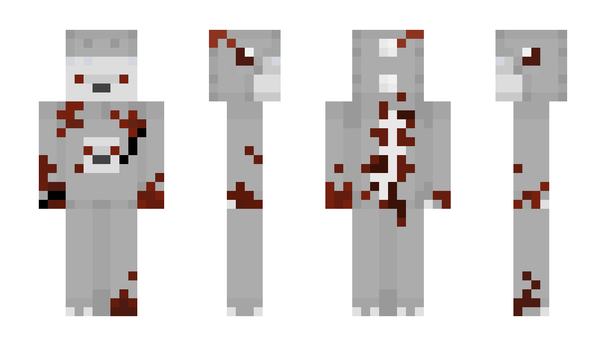 arcticwinds Minecraft Skin