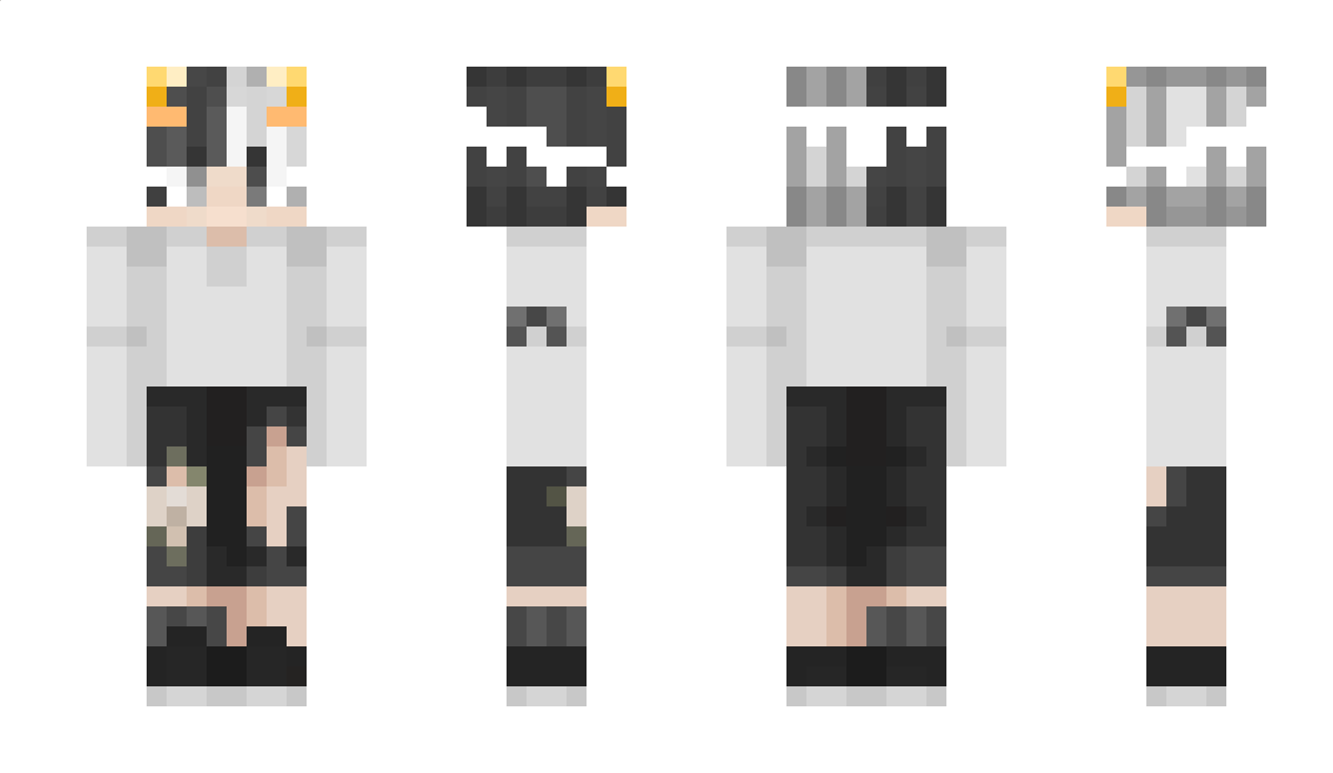 Polshi Minecraft Skin