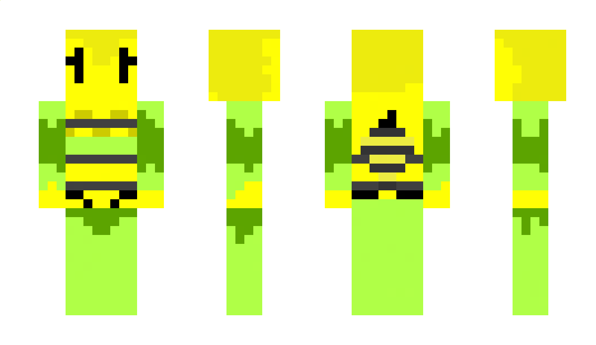 Beez0712 Minecraft Skin