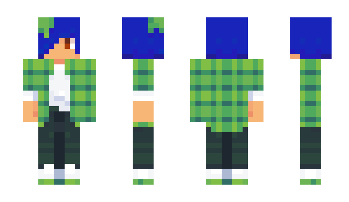 TheFox580 Minecraft Skin