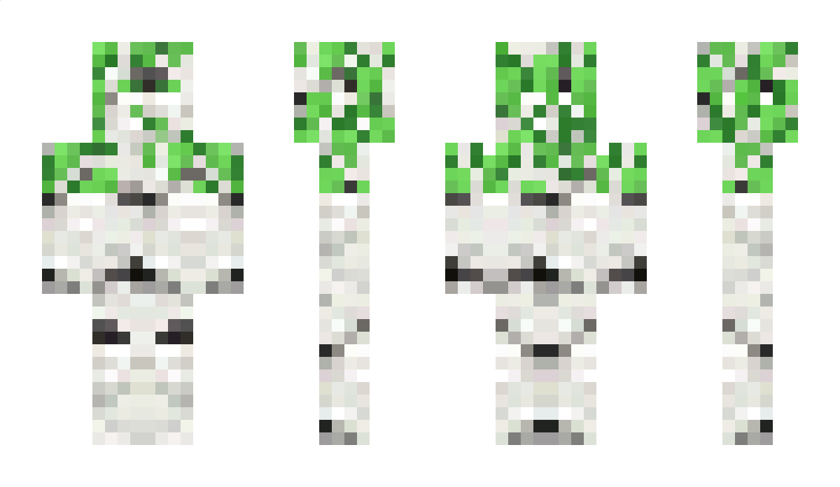 Birch Minecraft Skin