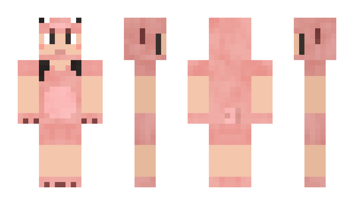 Morefunthantoast Minecraft Skin