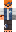 _FreshFoxYT_ Minecraft Skin