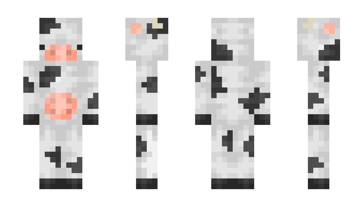 Unknown3 Minecraft Skin