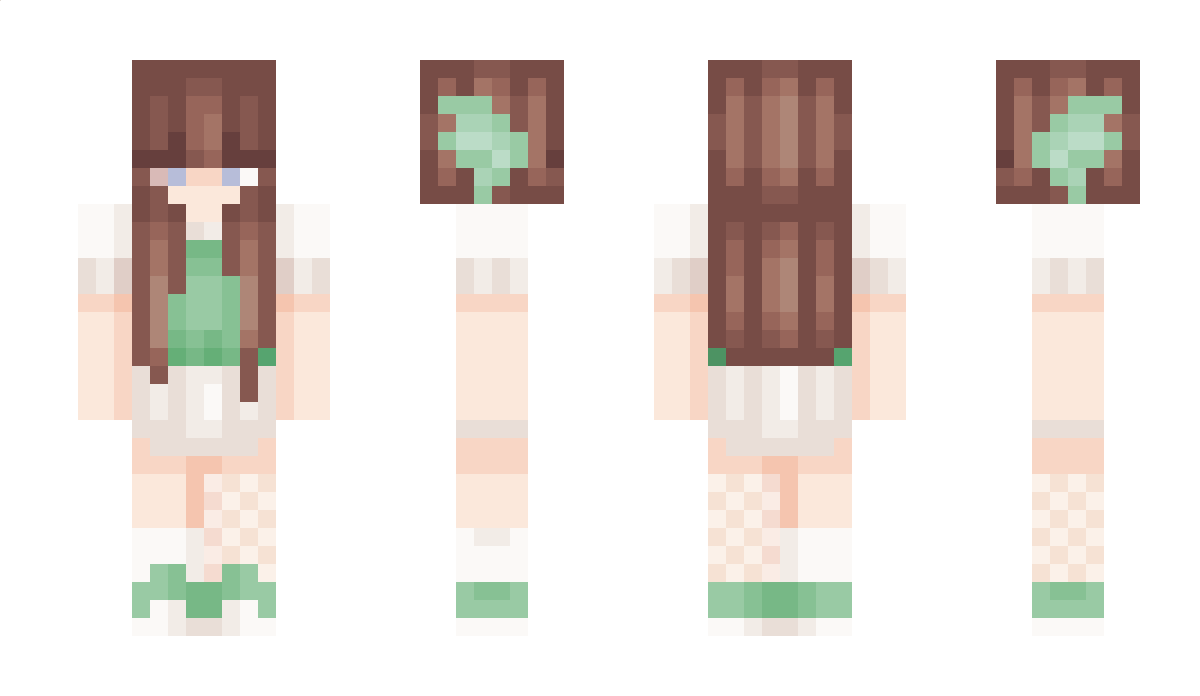 clareification Minecraft Skin