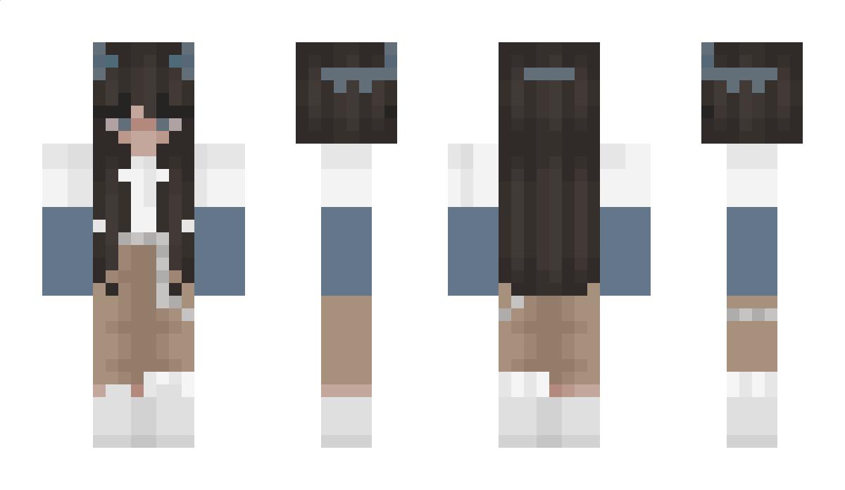 Delfin Minecraft Skin