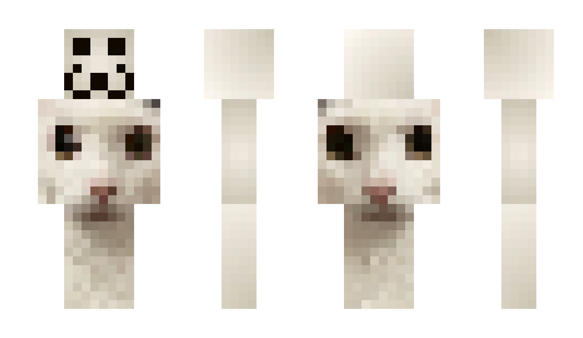 NotchessX Minecraft Skin