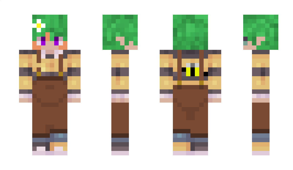 OnePageAtATime Minecraft Skin