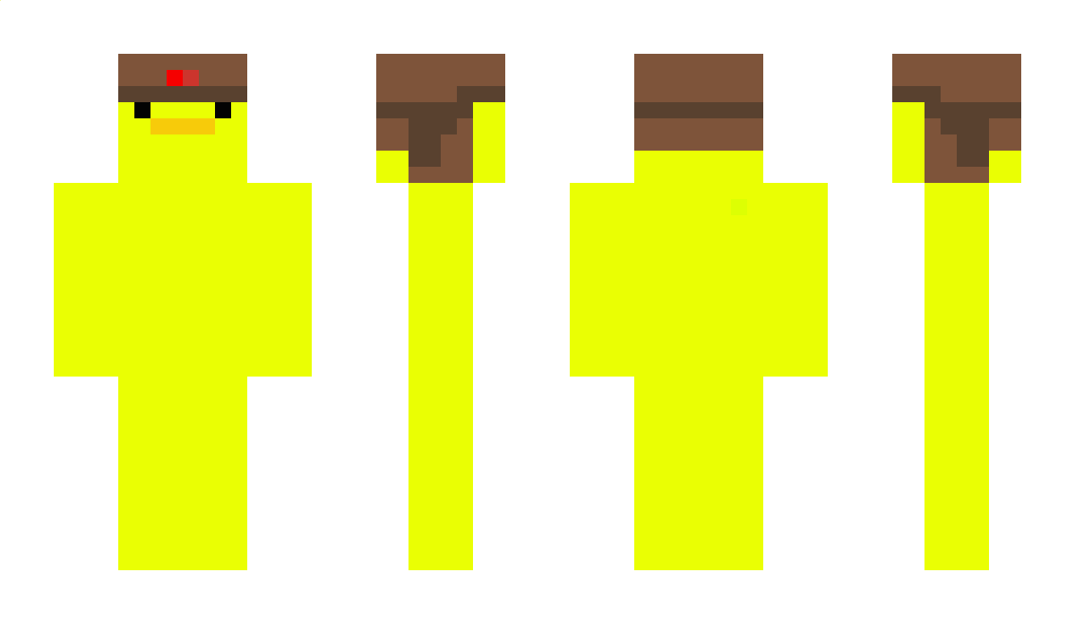 tagsy Minecraft Skin