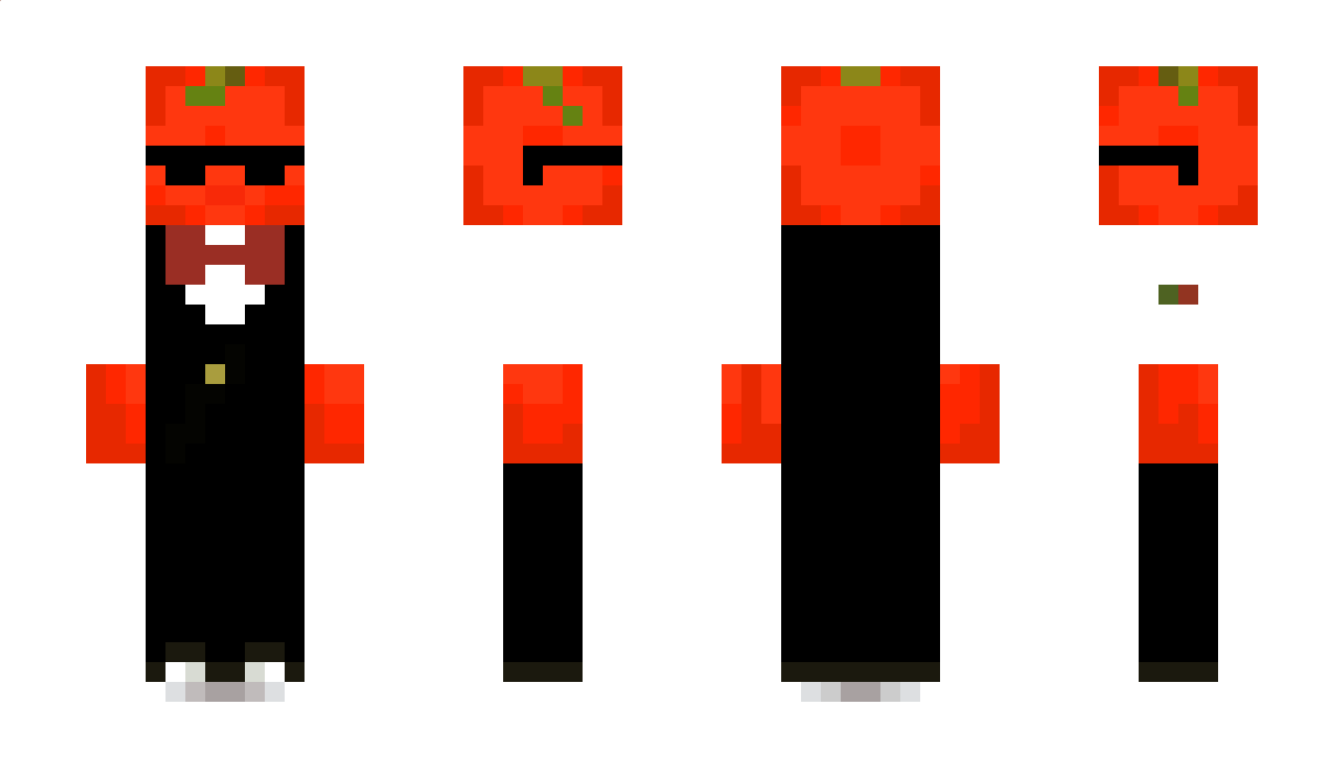 tomatomato1220 Minecraft Skin