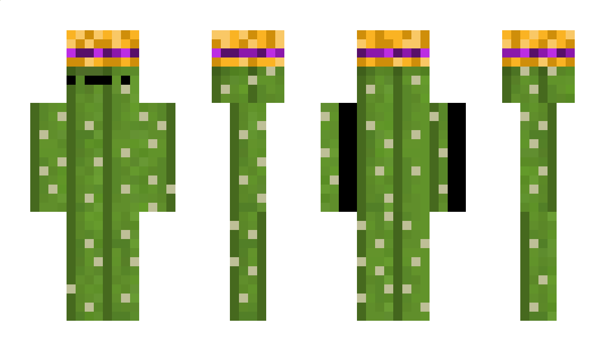 Bin_ein_Kaktus Minecraft Skin