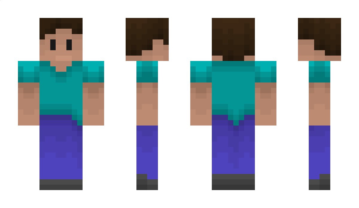 TheTrue8BitFox Minecraft Skin