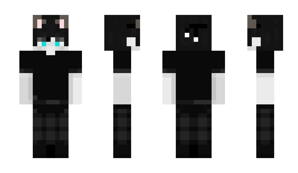 drkninja9 Minecraft Skin