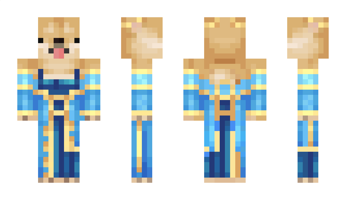 Corgig Minecraft Skin