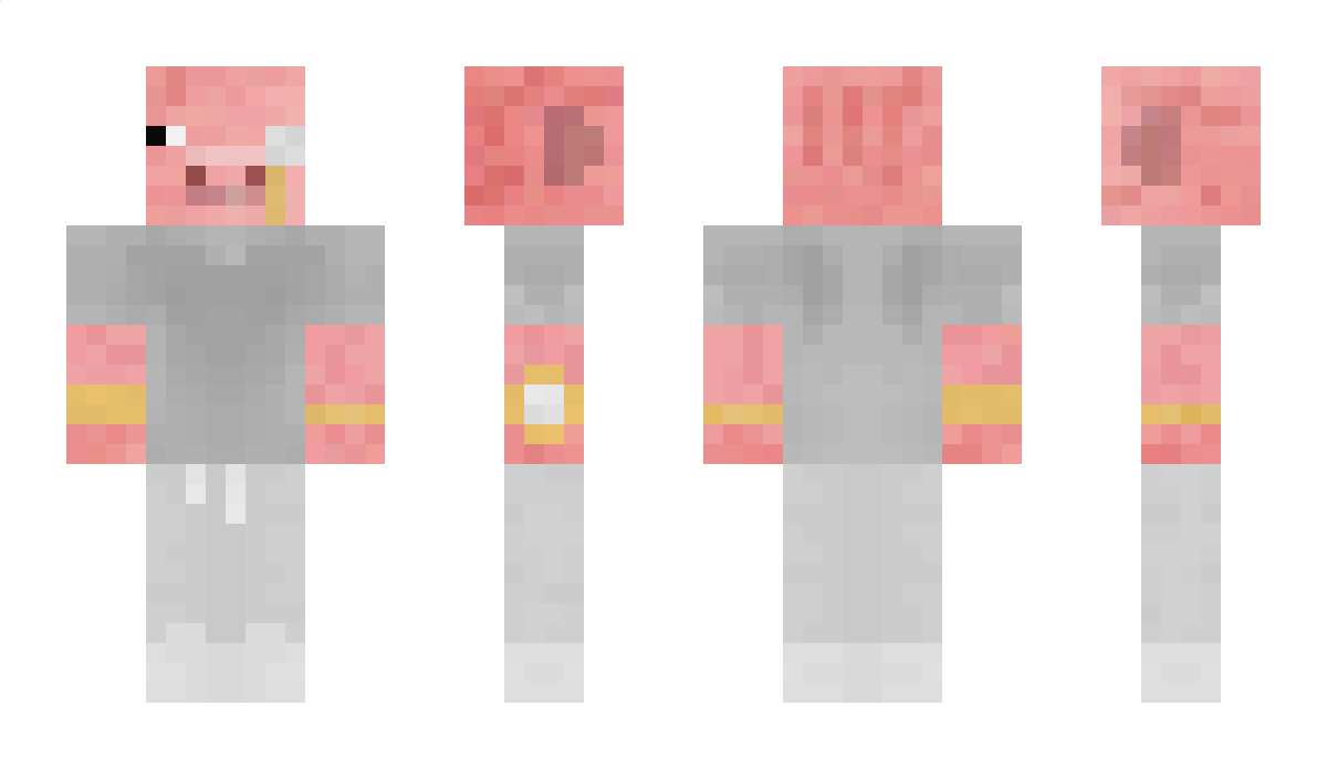 p1gsel Minecraft Skin