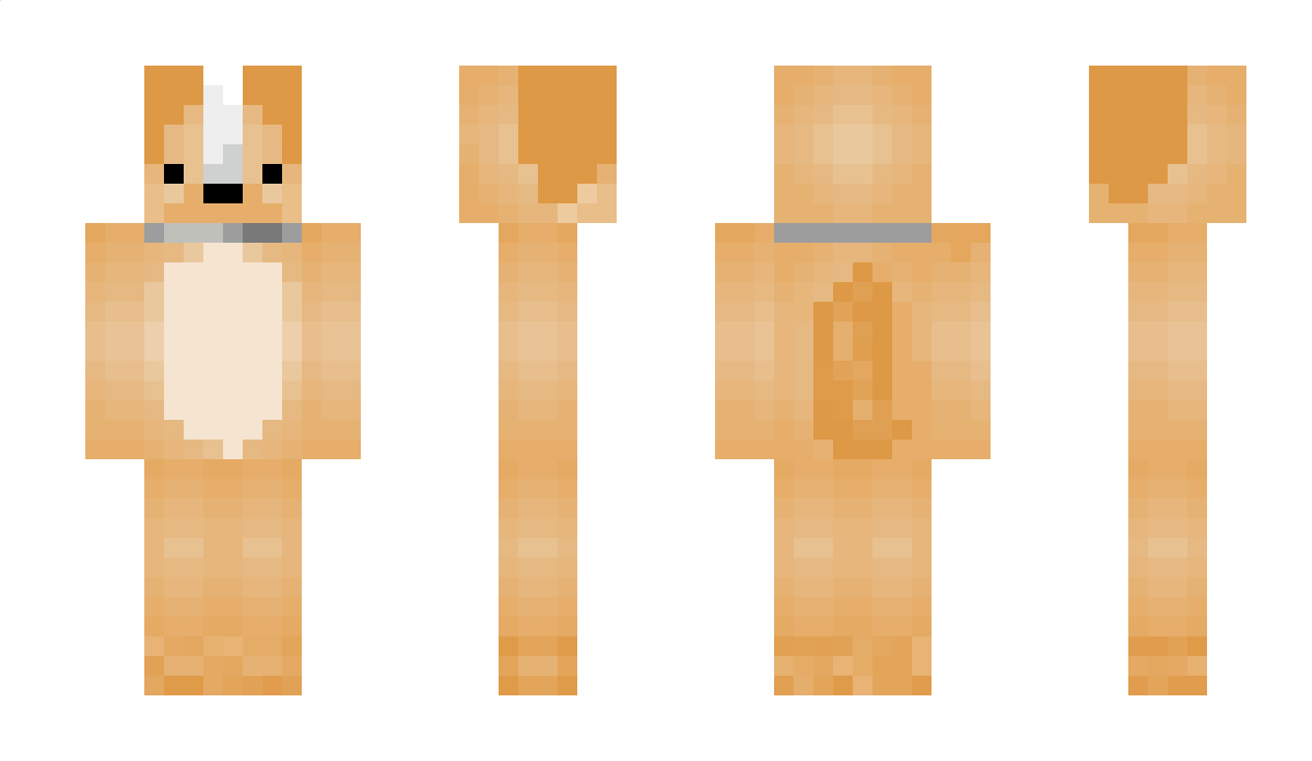 DraydenPlayz Minecraft Skin