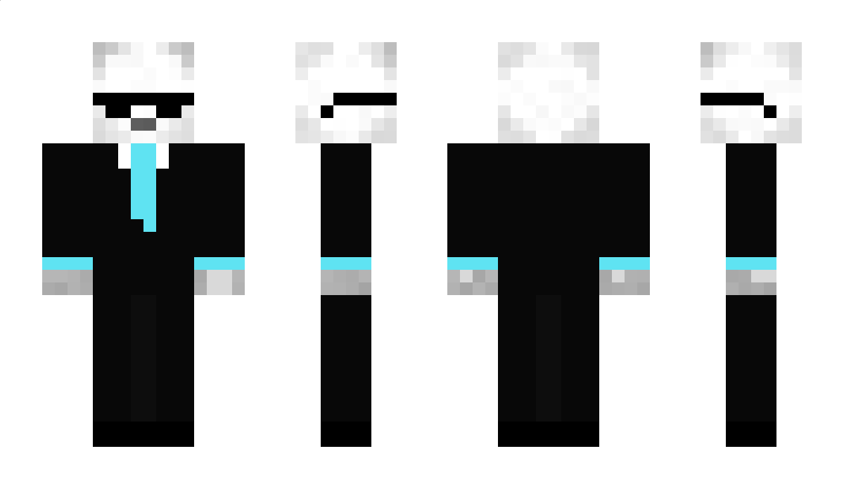 EndermanPlus0816 Minecraft Skin