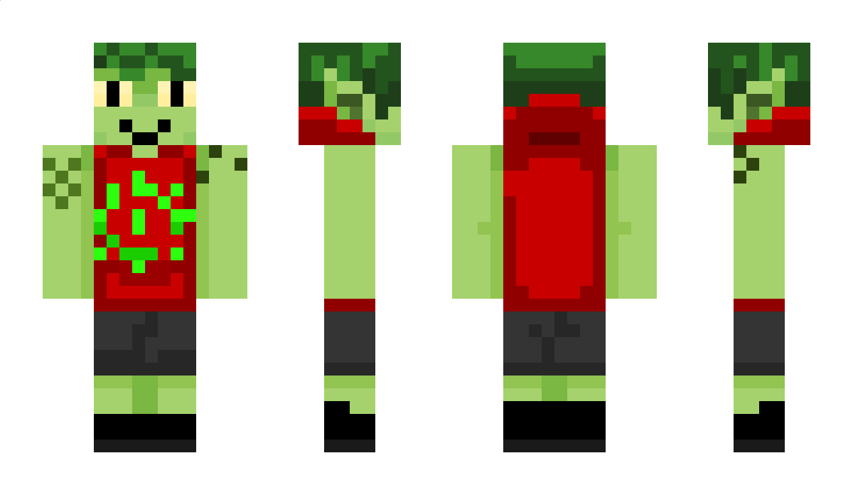 saltcipher Minecraft Skin