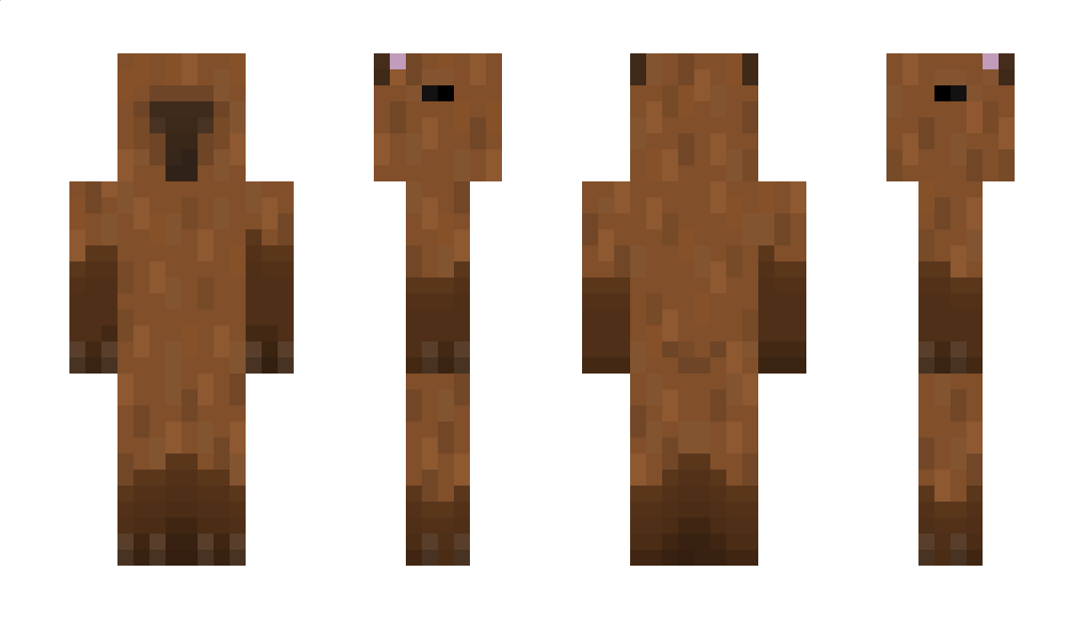 BraveCraft512 Minecraft Skin