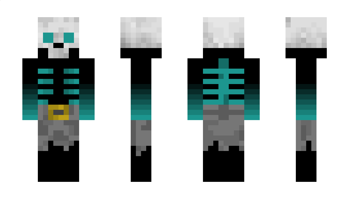 2x1x Minecraft Skin