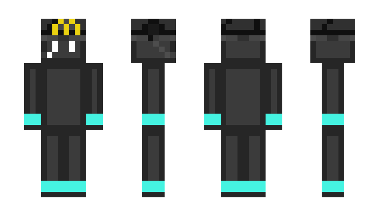 bipas Minecraft Skin