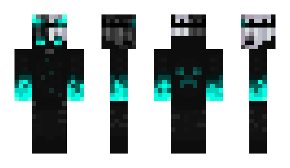 FintheParkourPRO Minecraft Skin