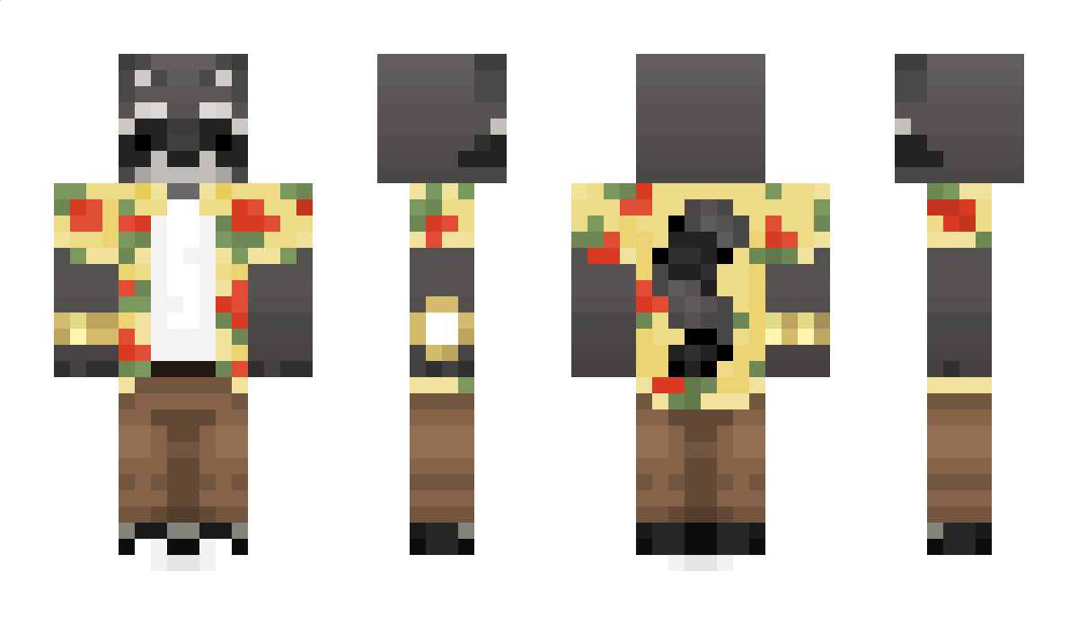 the_raccoon Minecraft Skin