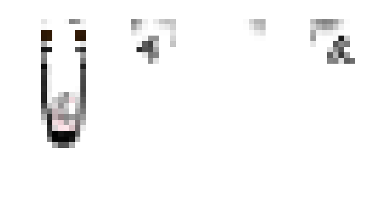 fuzzybmx Minecraft Skin