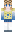 ashlynrulez Minecraft Skin