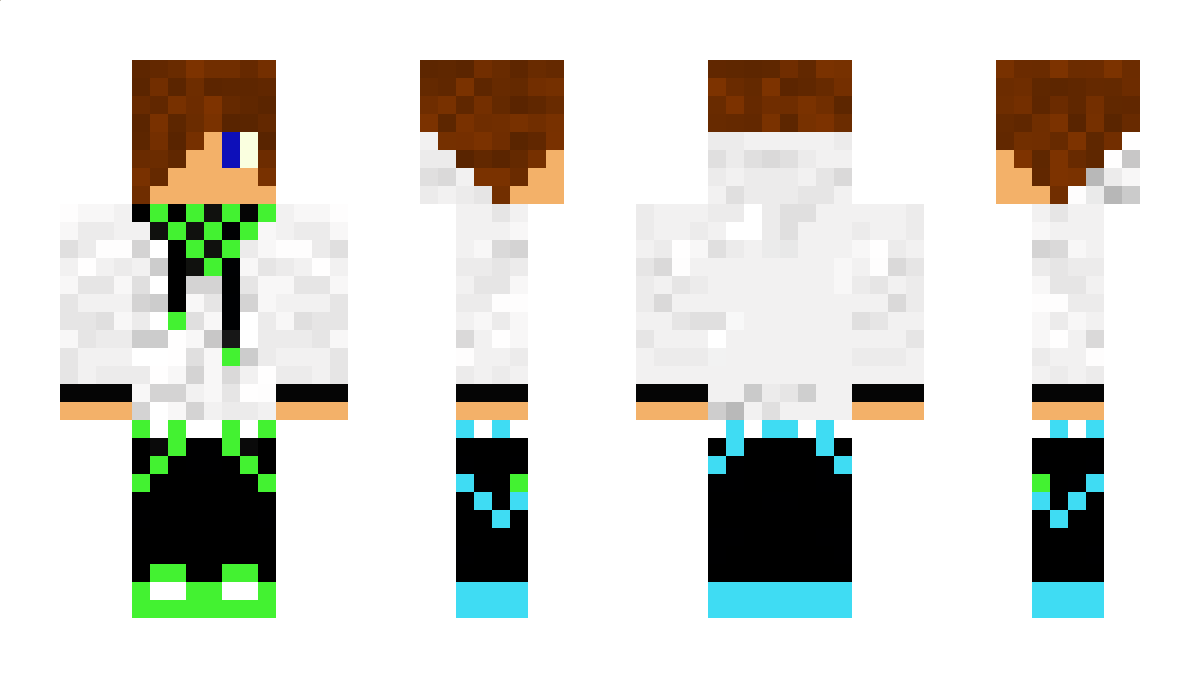 Entrity Minecraft Skin