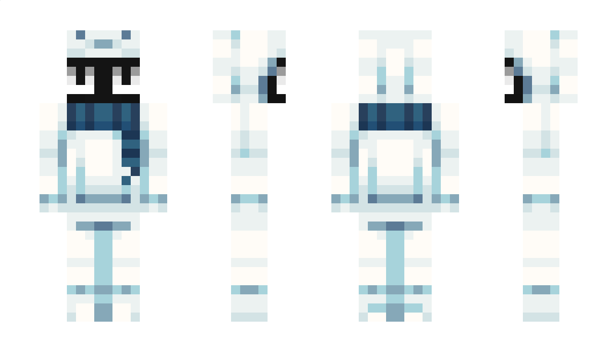 polar505 Minecraft Skin