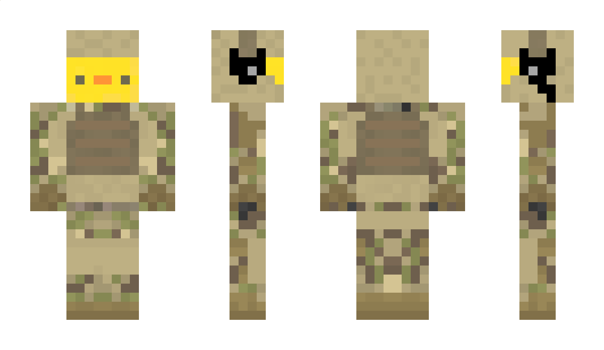 WarDuck224 Minecraft Skin