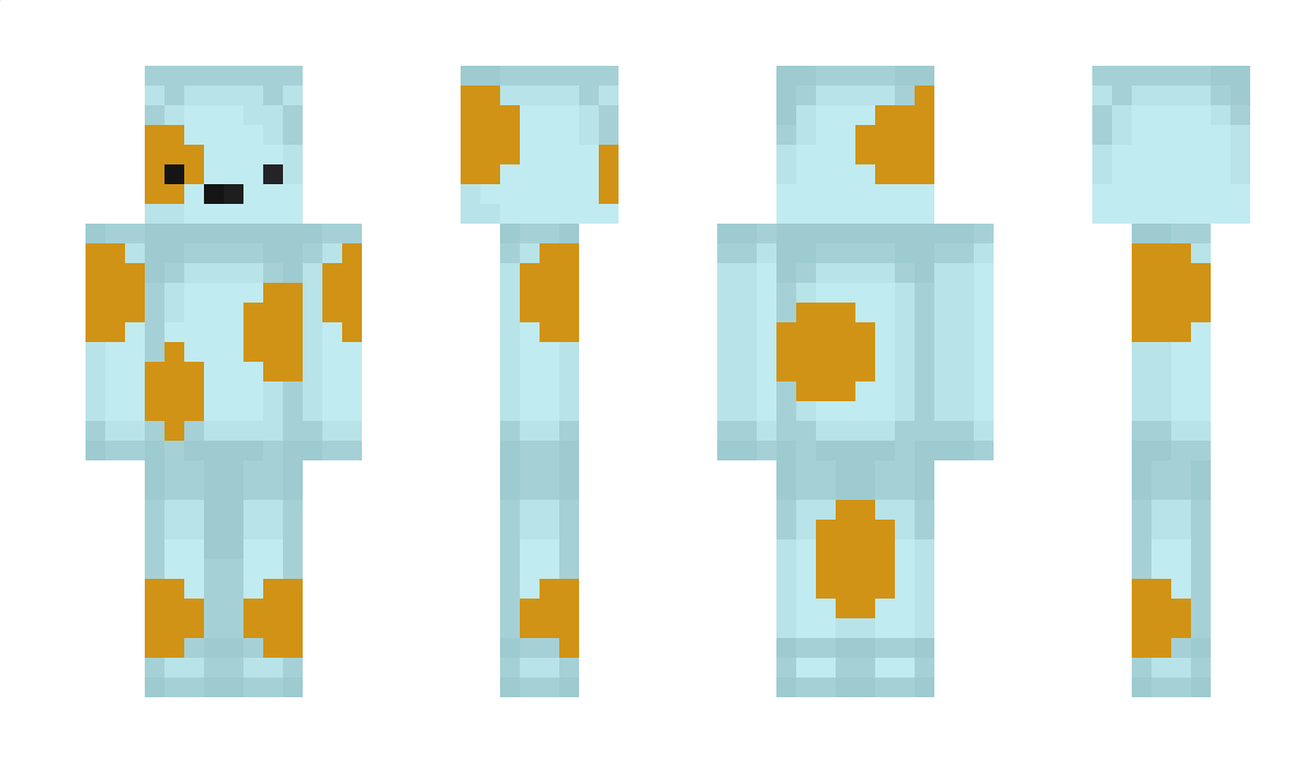 Oxiracetam Minecraft Skin