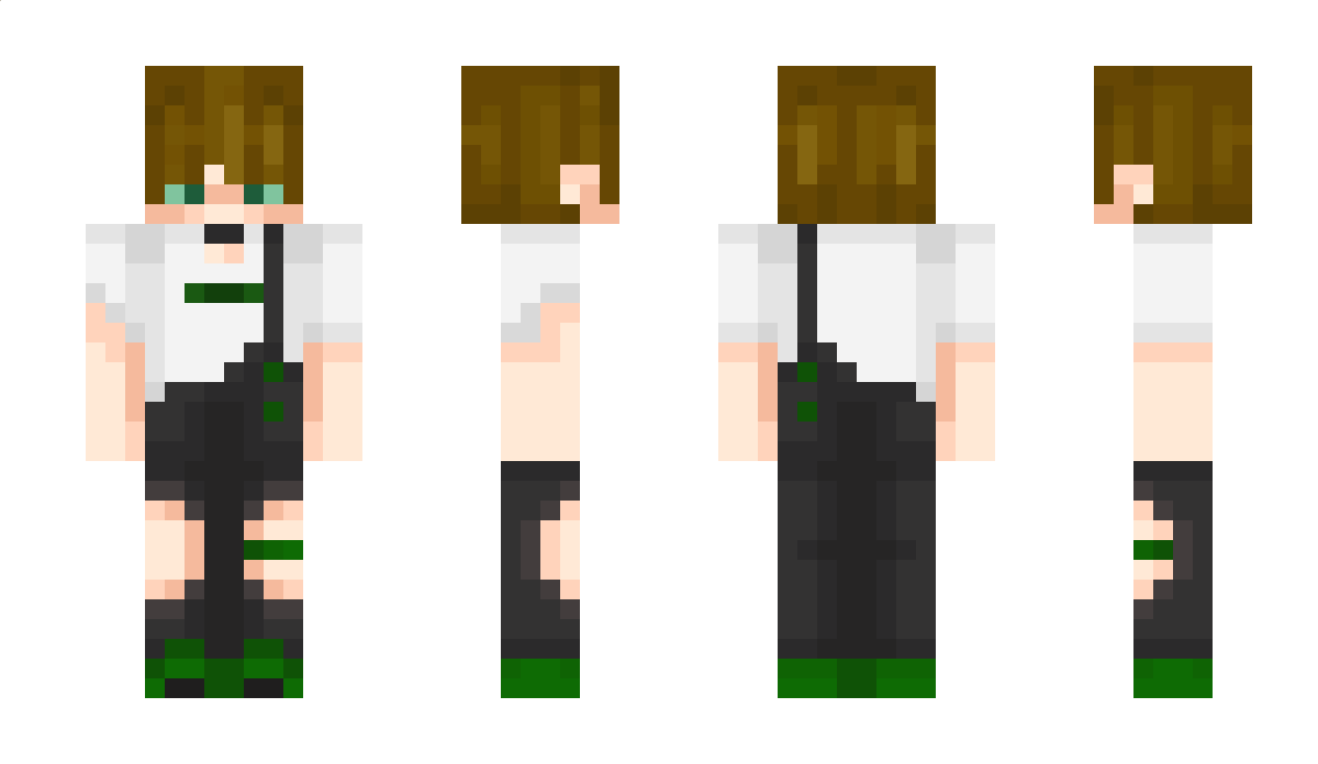 Dirmo Minecraft Skin