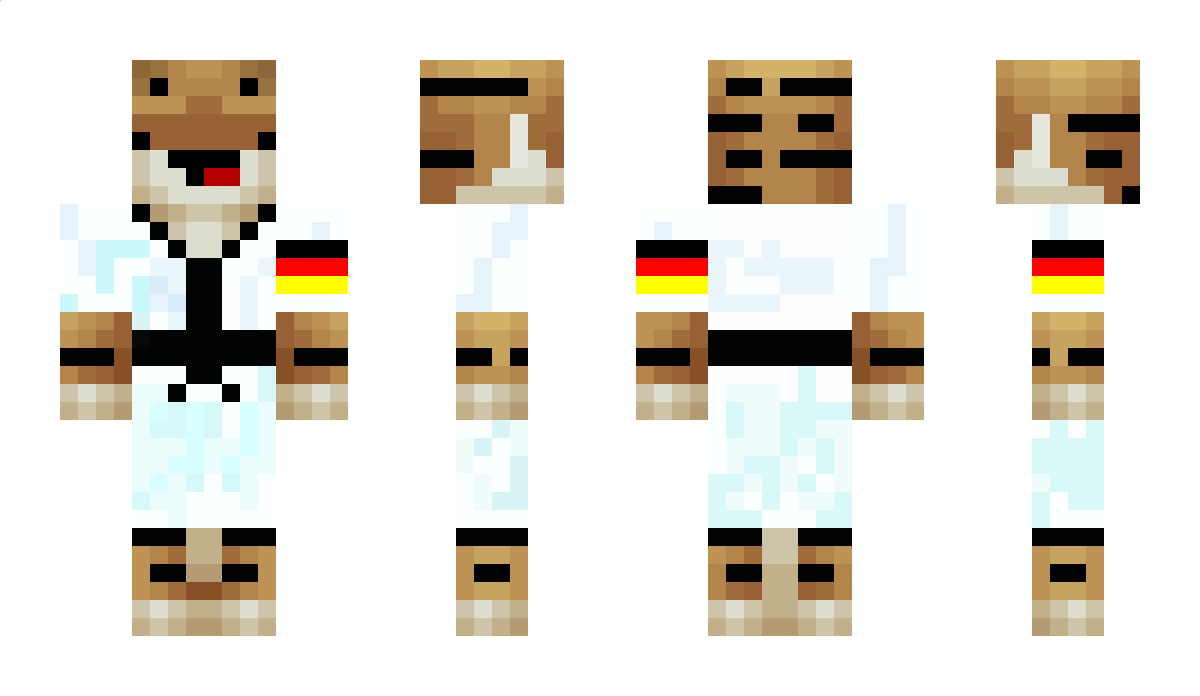 Judotiger__ Minecraft Skin