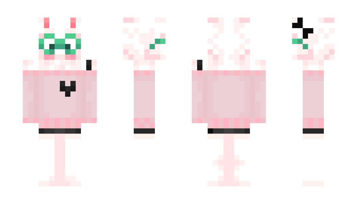 AnId10T Minecraft Skin