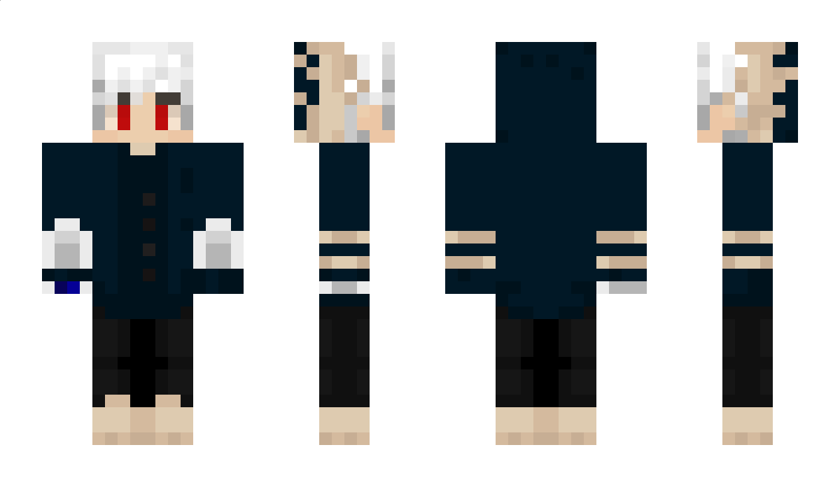 llPolyBlankll Minecraft Skin