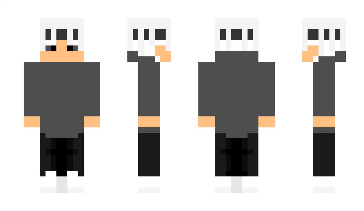 pedjomir Minecraft Skin