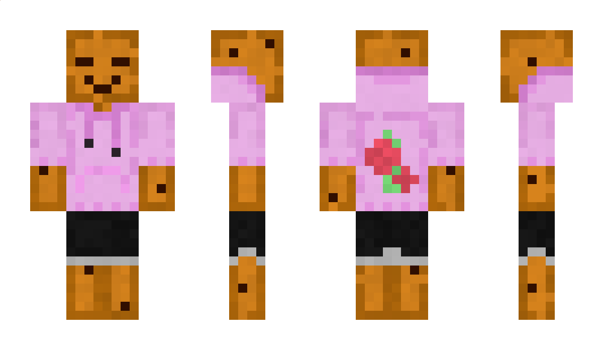 Mibb Minecraft Skin