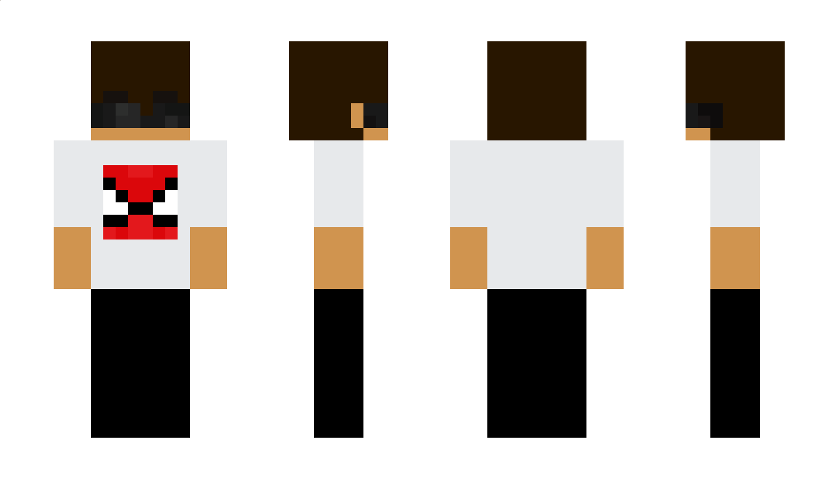 polacca Minecraft Skin