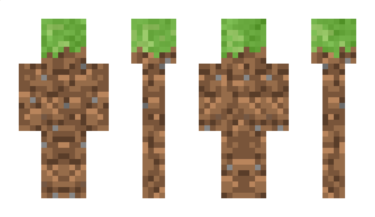 RooTer Minecraft Skin