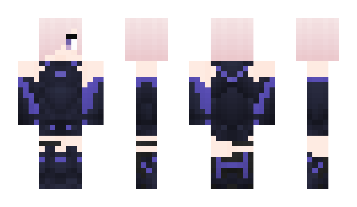 Shielder Minecraft Skin