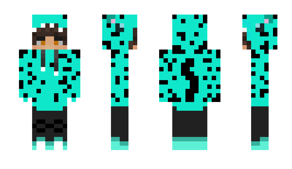 Jake_1233211 Minecraft Skin