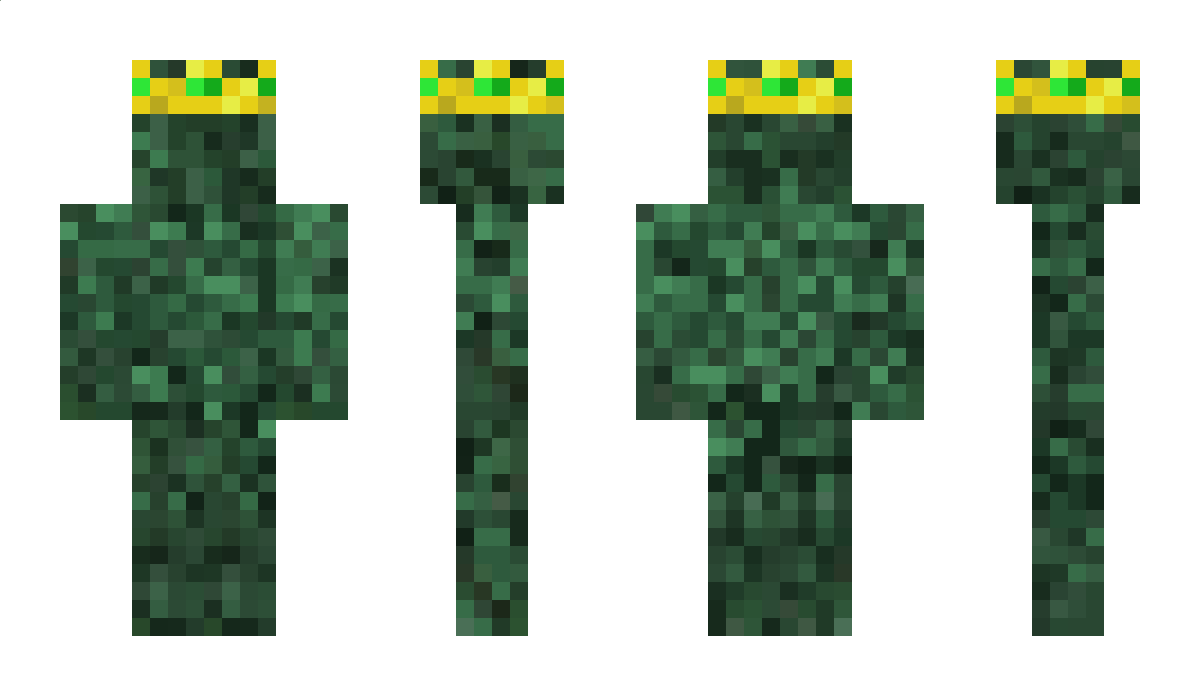 timelycrowns Minecraft Skin