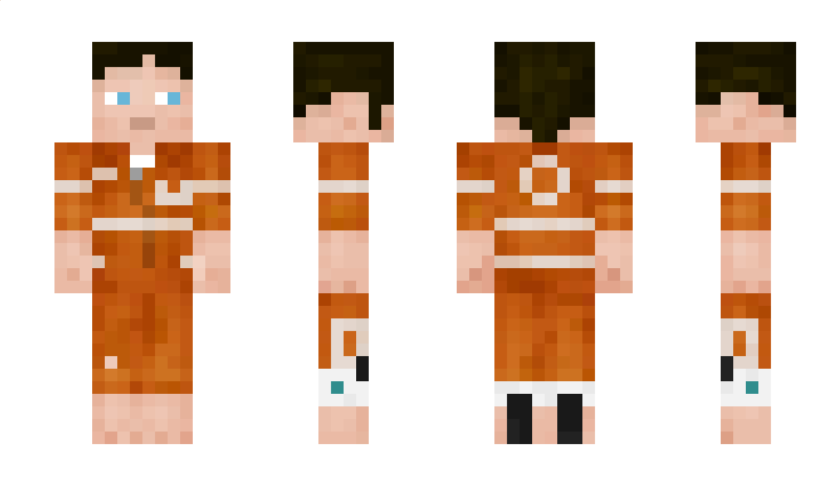 Druidkus Minecraft Skin