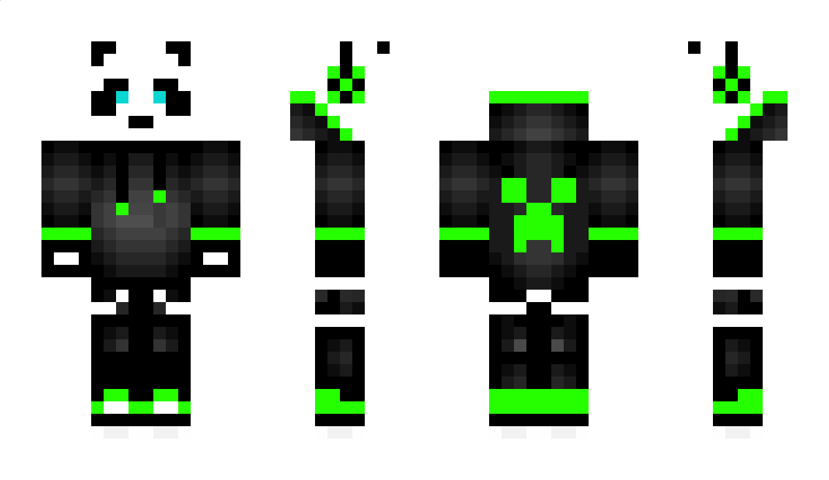 assasin2 Minecraft Skin